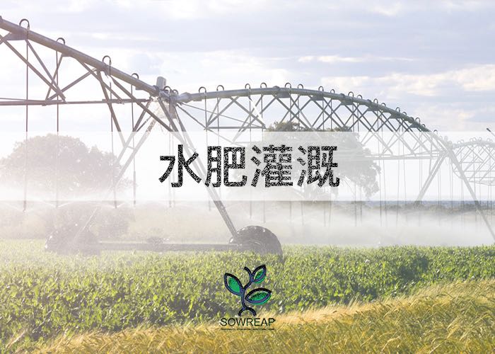 水肥灌溉